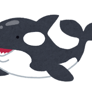 シャチ
