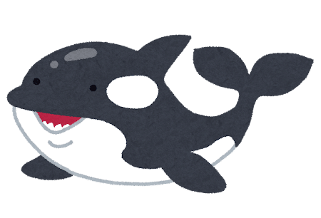 シャチ
