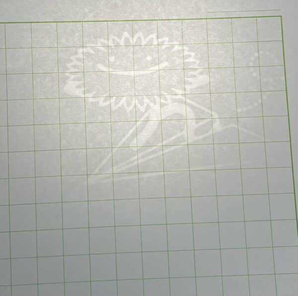 透かしニス接写